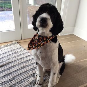 Meet your Posher, Marilyn